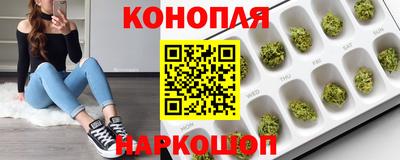 индика Абинск