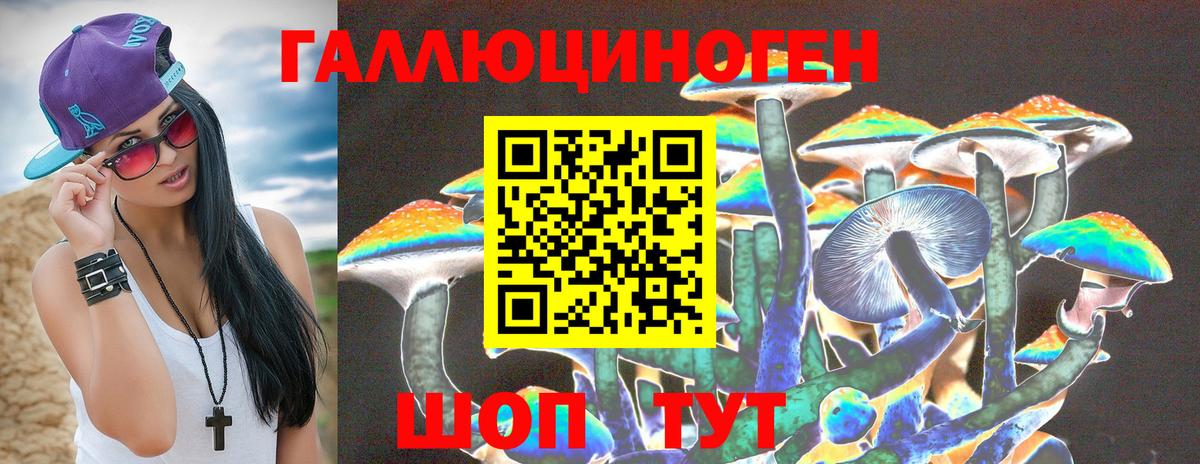 Абинск  Псилоцибиновые грибы MAGIC MUSHROOMS  Вход с VPN 