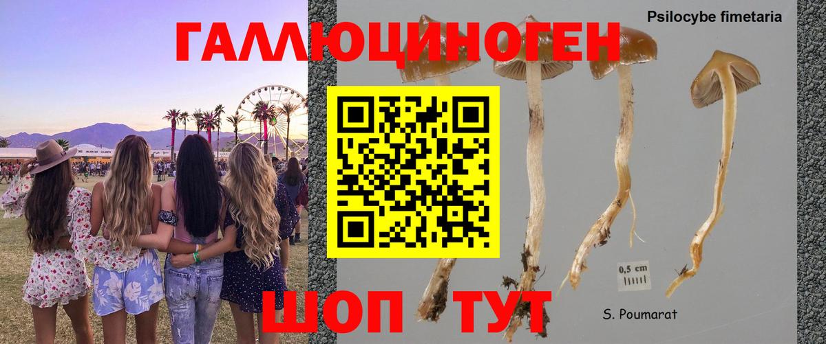 Псилоцибиновые грибы MAGIC MUSHROOMS Абинск